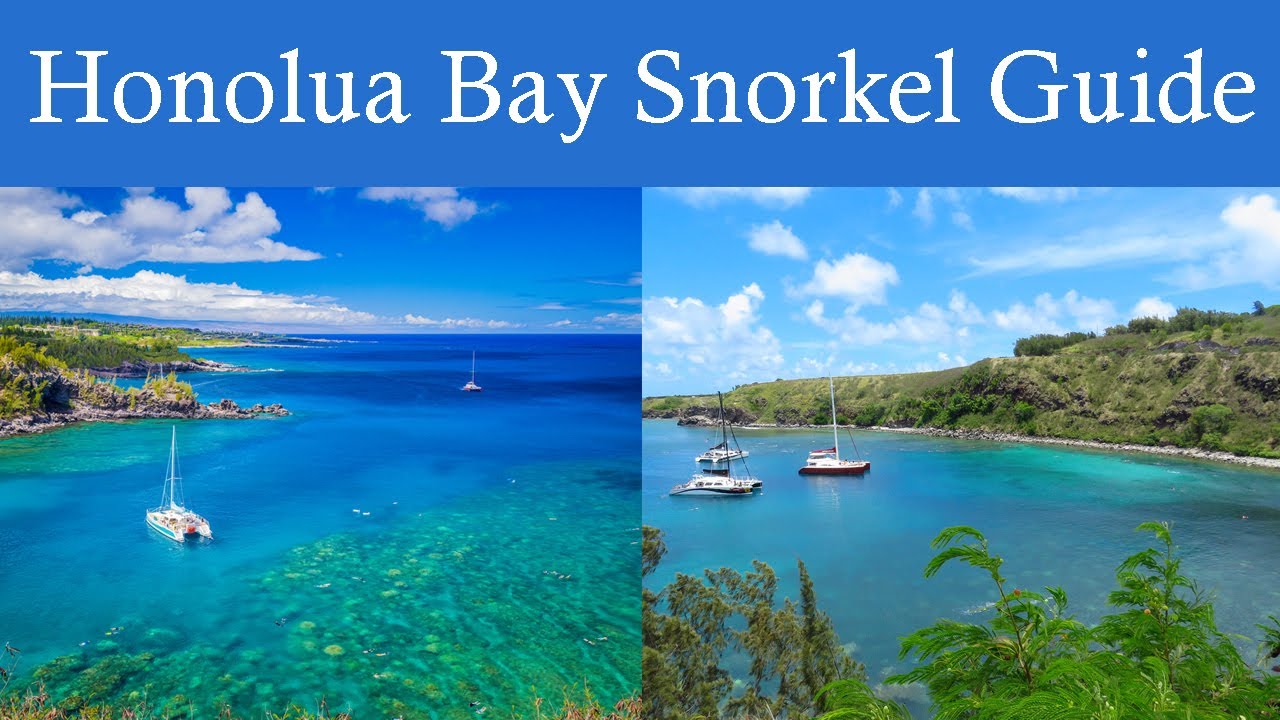 Honolua Bay Snorkeling - Reef, Marine Life & Loads of Travel Tips