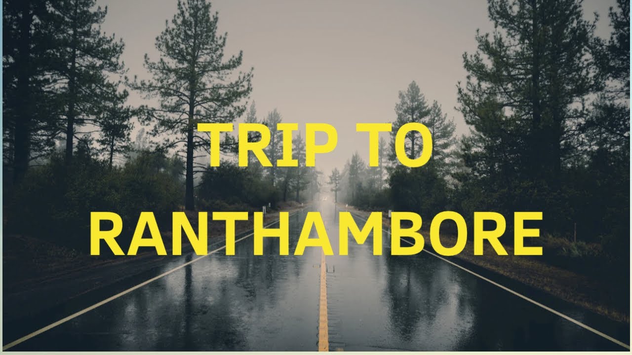 The Ultimate Road Trip: Greater Noida to Ranthambore via Delhi-Mumbai Expressway! 🛣️🐅