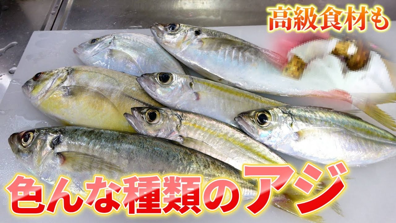 【秋の贅沢】アジ5種寿司＆天ぷら＆お吸い物で最強の晩餐
