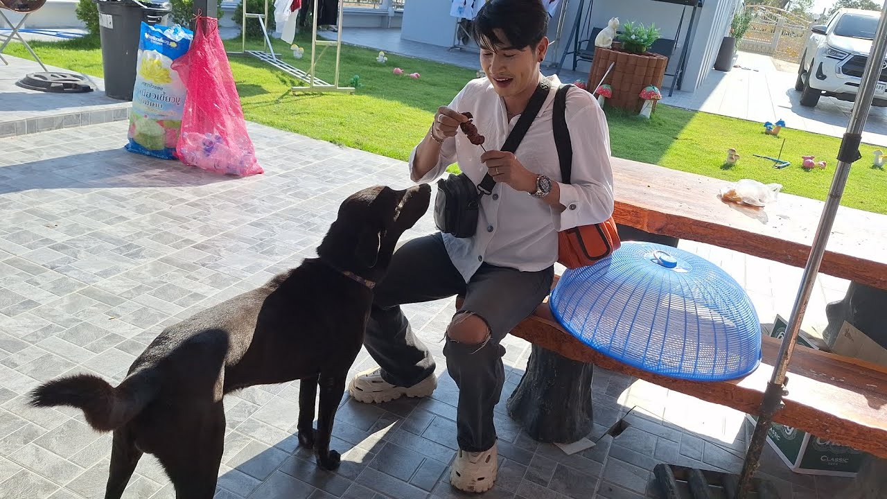 สมานฉันกันแล้วแซมกับโดโด้