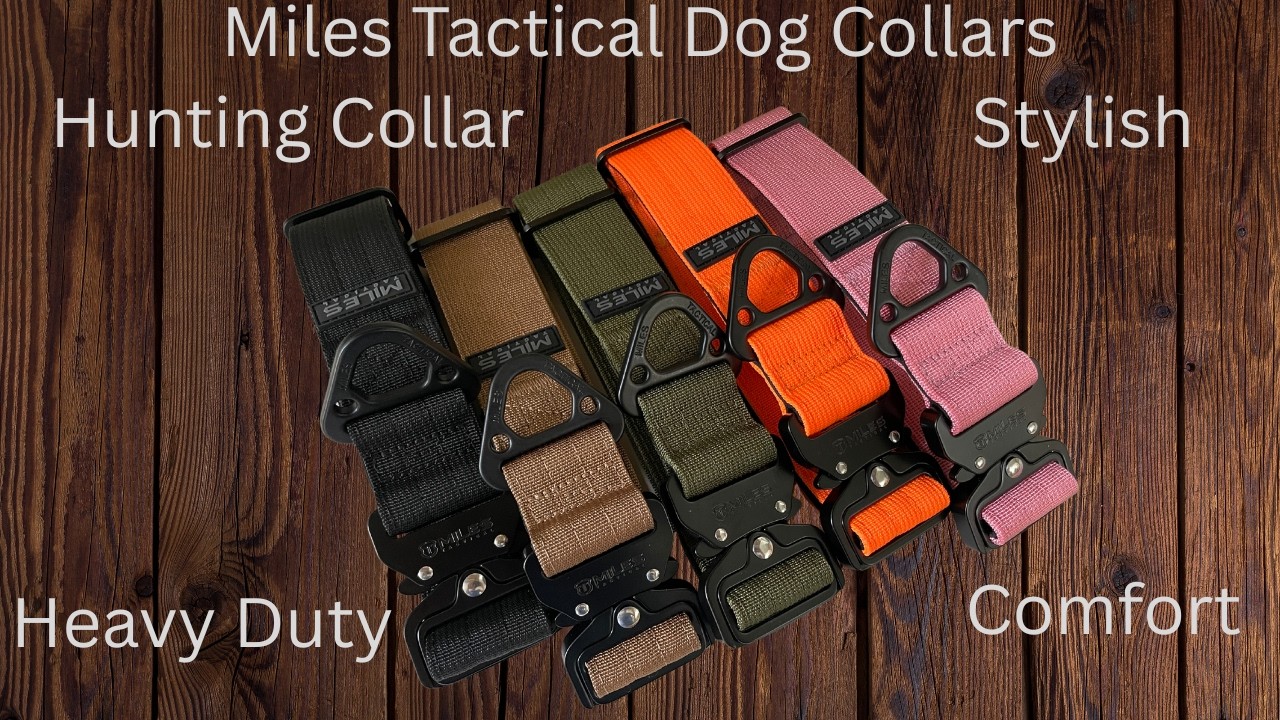 The Miles Tactical Dog Collar is heavy duty and comfortable. The next Hunting Dog Collar