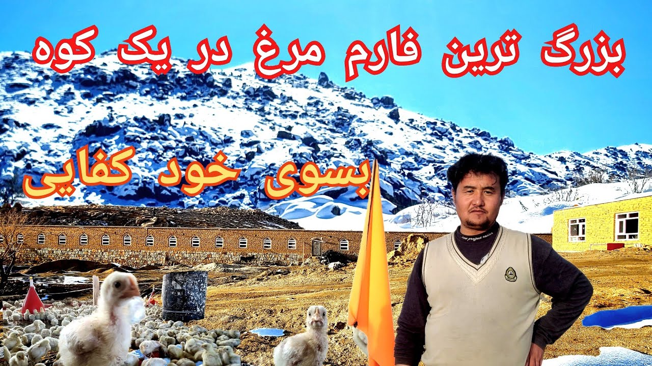 فارم بسیار بزرگ در دل یک کوه
