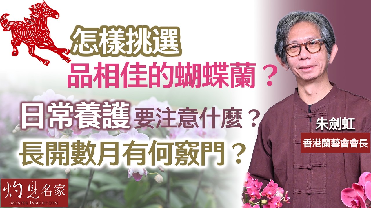 香港蘭藝會會長朱劍虹：怎樣挑選品相佳的蝴蝶蘭？ 日常養護要注意什麼？ 長開數月有何竅門？｜丙午馬年運程｜2026-02-10