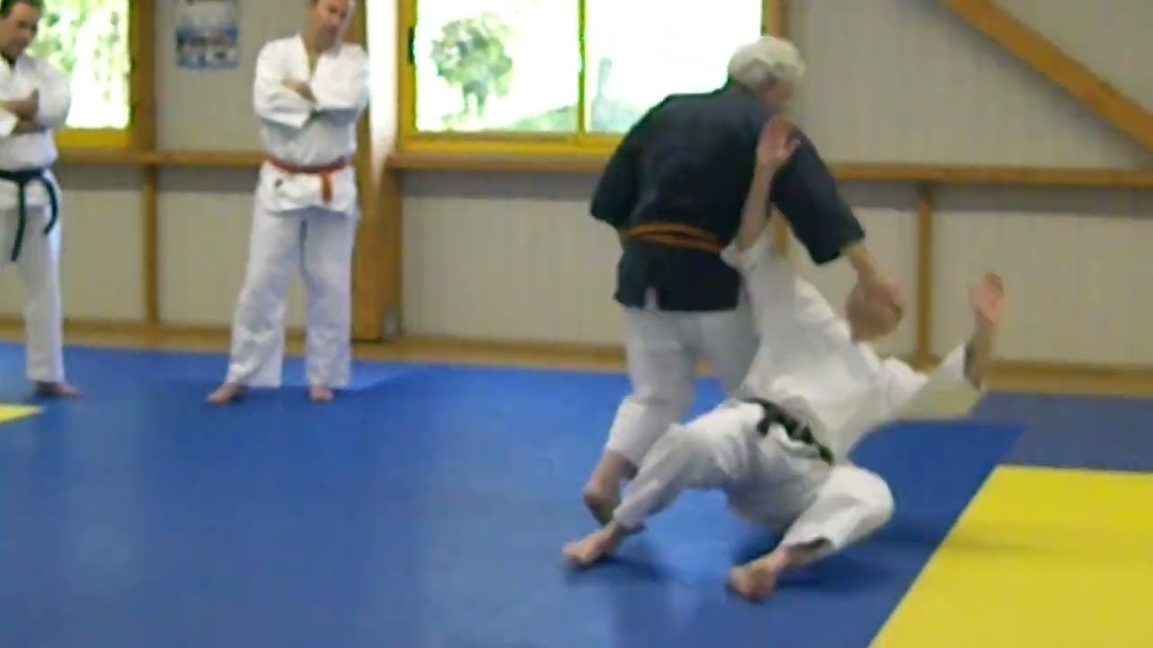Roland HERNAEZ - Défense sur Oi Tsuki - Mukae Daoshi - Mai 2010