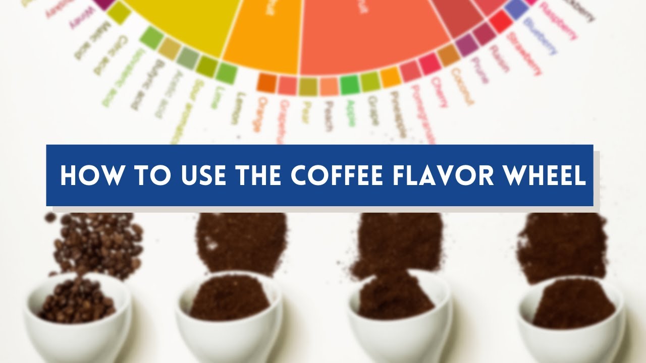 How to use the Coffee Flavor Wheel