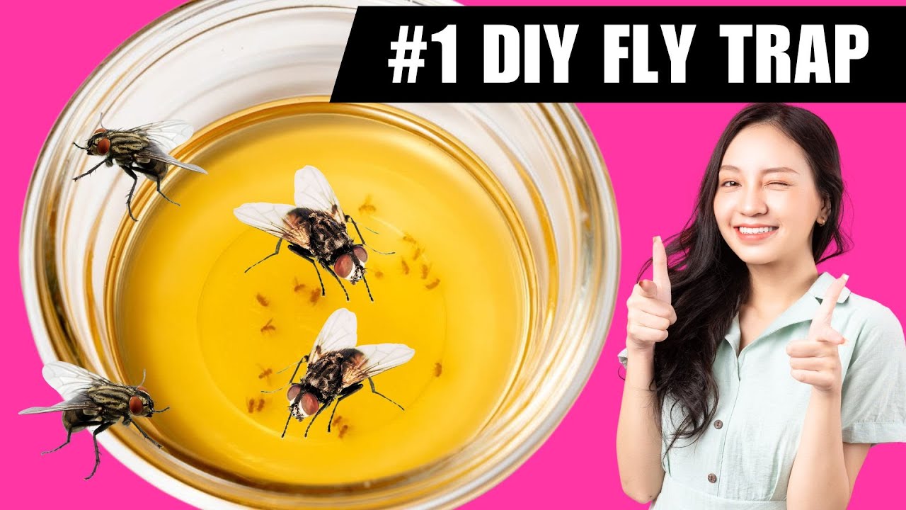DIY Fly Trap That Works in MINUTES | Get Rid of Flies Fast ⚡️