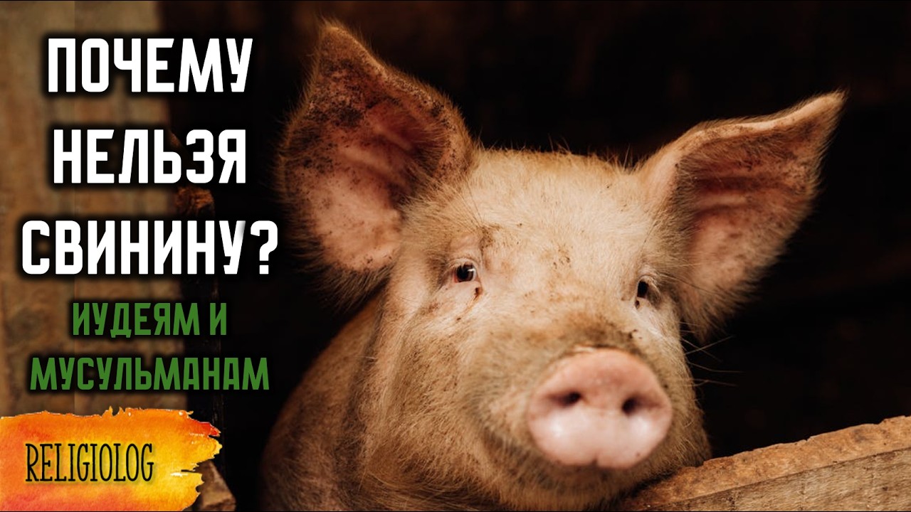 Почему иудеи и мусульмане не едят свинину? Кошер, Халяль
