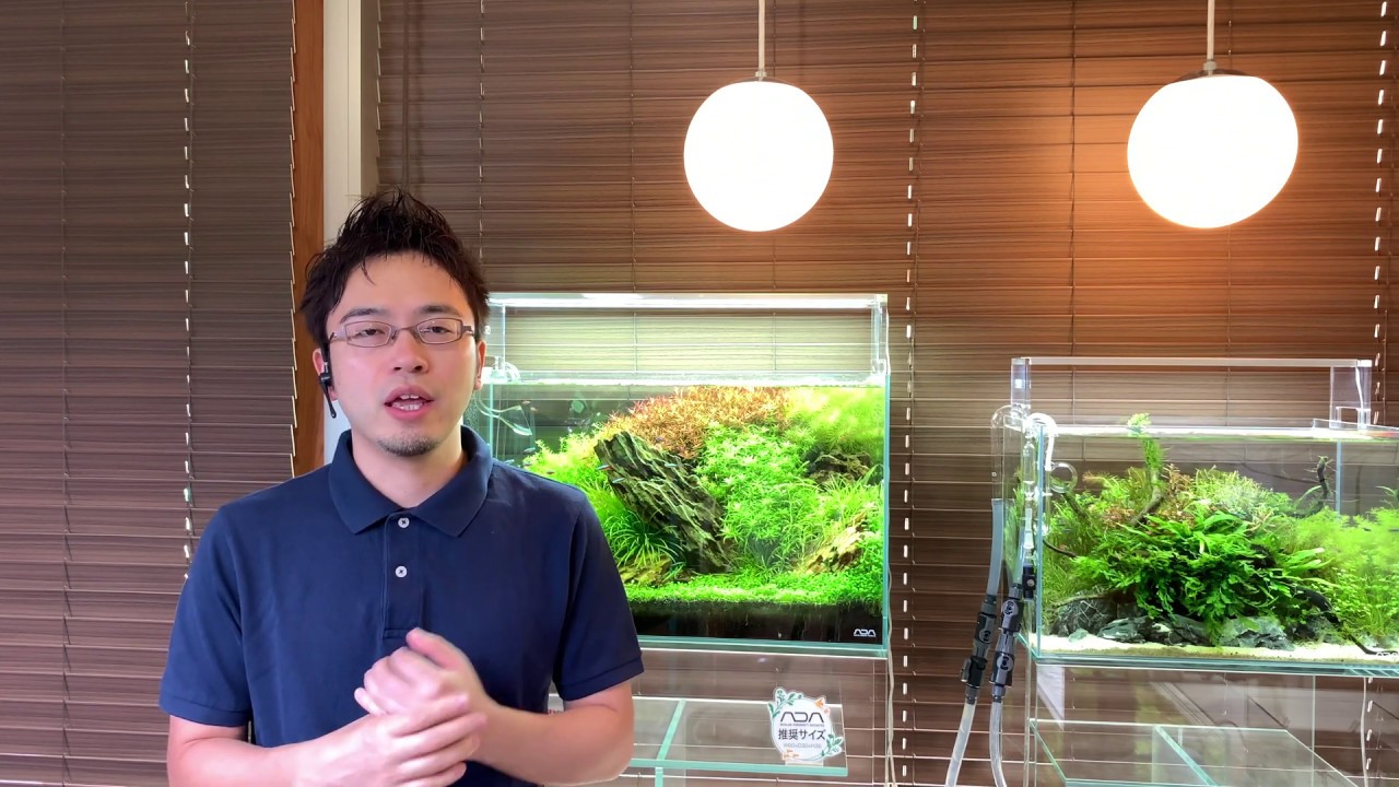 水草水槽の油膜を消す方法②「すぐに油膜を取ろう」How to remove aquarium oil film on top