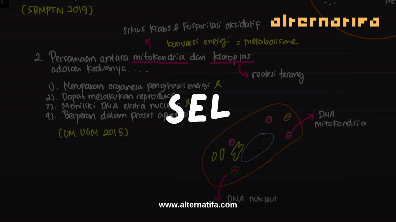 Sel: Pembahasan Soal Sel | Biologi | Alternatifa