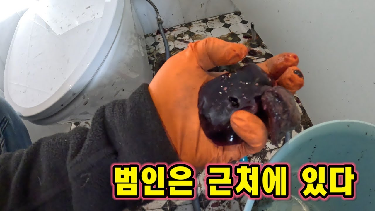변기에다 삶은 계란 선지 버린 범인...난 니가 누군지 알고 있다