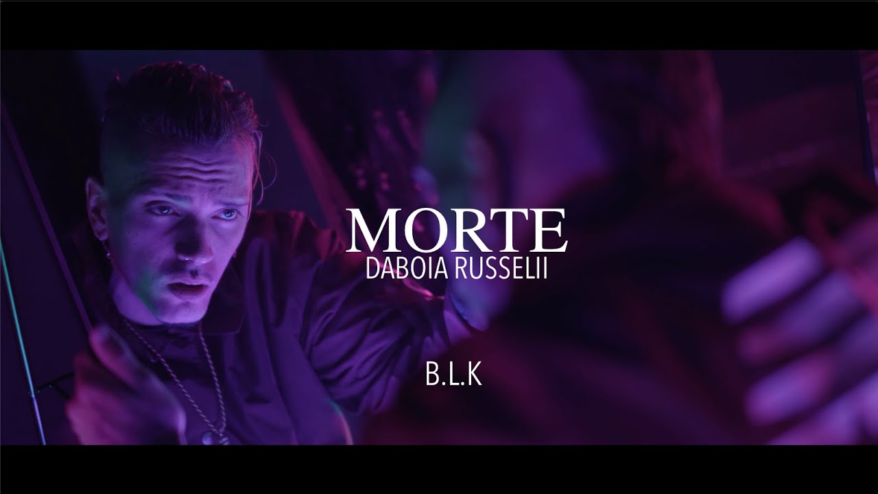 BLAKE - MORTE #DABOIARUSSELII PROD. BOXINBOX