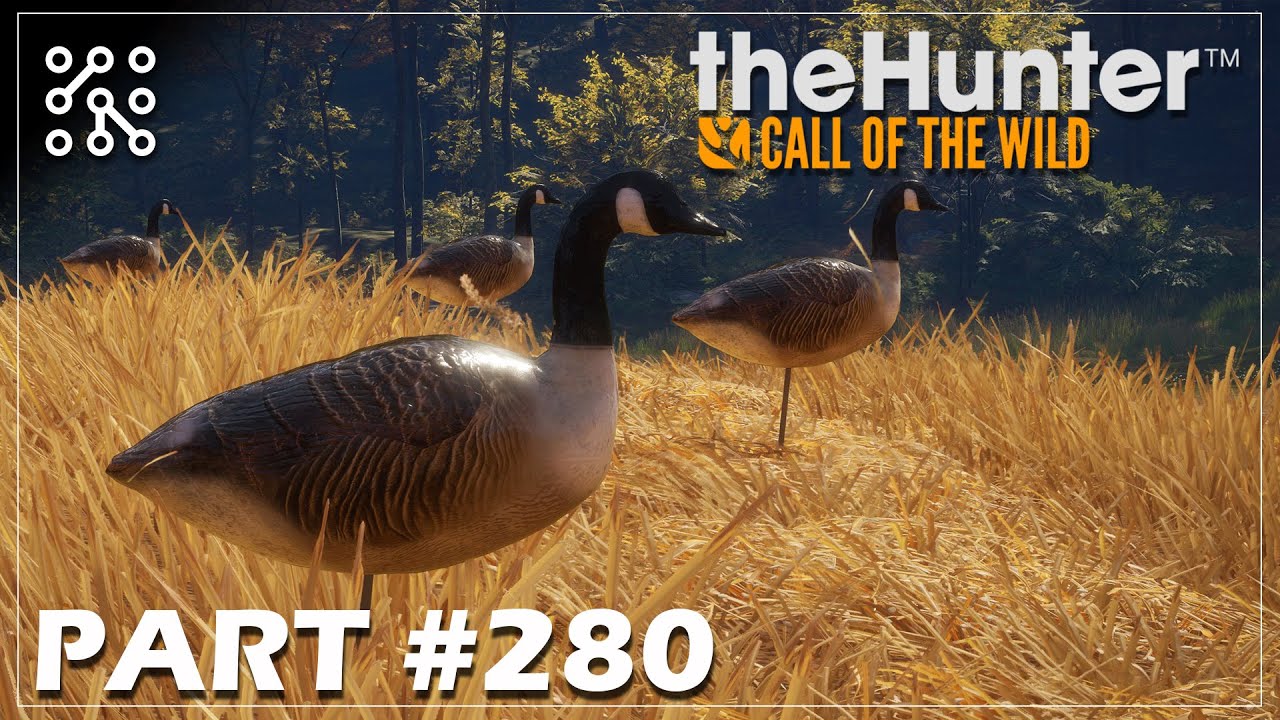 Husa kanadská - více než 40 trofejí #280 | The Hunter: Call of the wild CZ  |  Česky