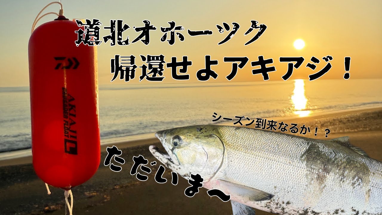 【アキアジ】道北にも鮭が帰ってきた！！！
