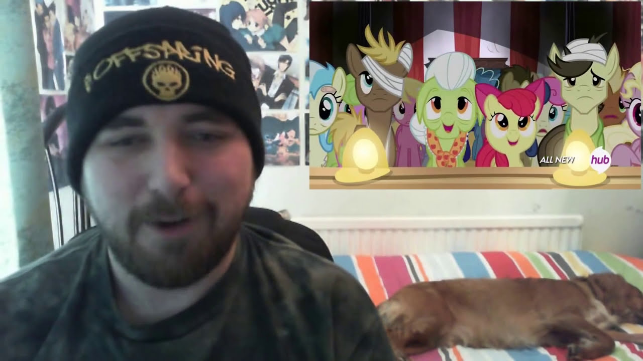 Luffy Reacts - MLP S4 E20 - Leap Of Faith