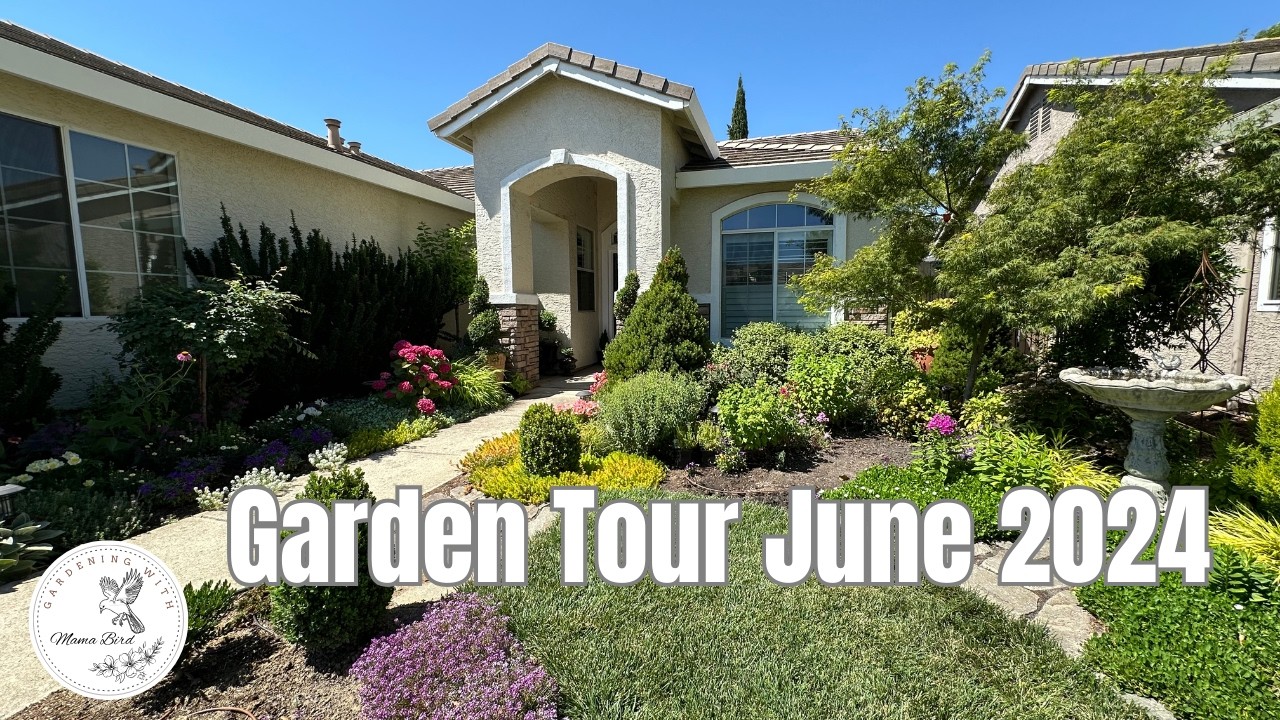 Garden Tour June '24 🌸 Front Yard Northern California Landscape in Bloom! #gardeningvideos