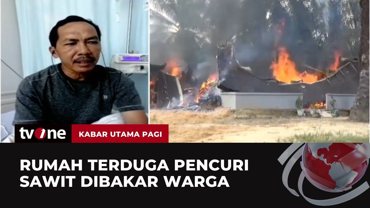 Kesaksian Pemilik Kebun Sawit Saat Pergoki Aksi Pelaku Pencurian | Kabar Utama Pagi tvOne