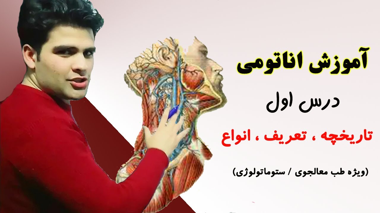Anatomy lesson 1 | اناتومی درس اول