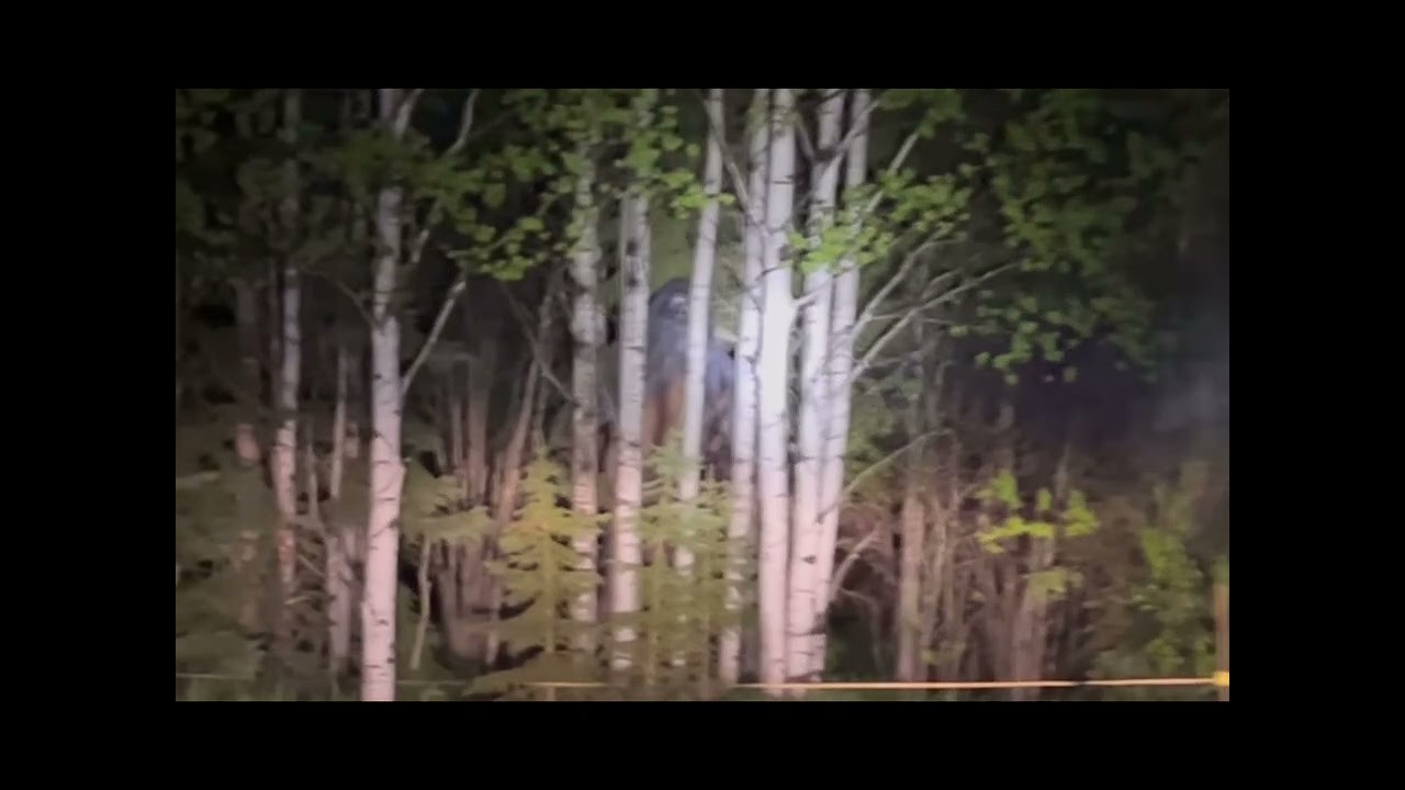Appalachian Mountains Found Footage