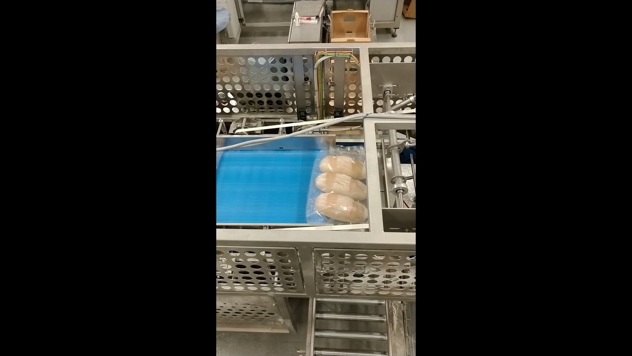 Ernst Pfeiffer - Maschinenbau & Steuerungssysteme - Case Packer