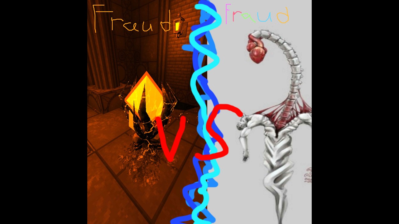 Fraud vs Fraud