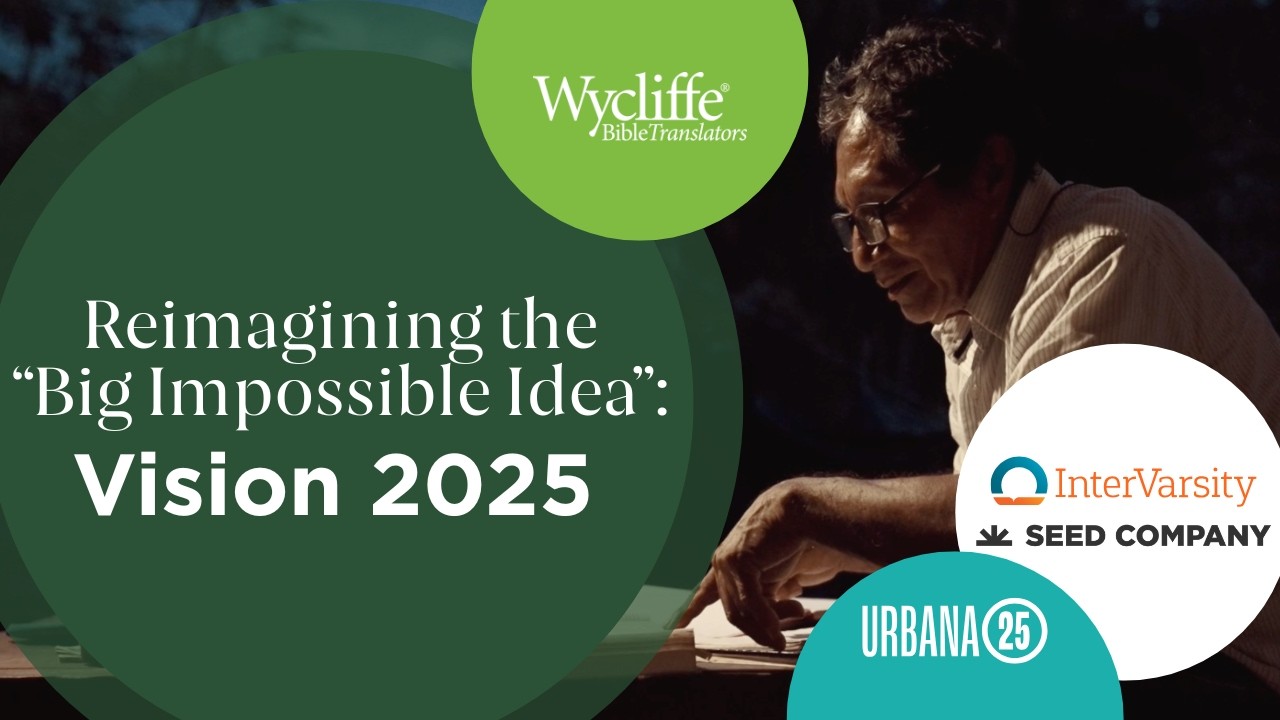 Большая невыполнимая идея: Видение 2025
