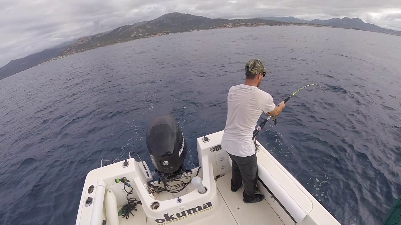 #okuma#trolling#makaira#corsica#tuna Canne Okuma Sly Trolling 12/20 lb Moulinet Makaira 8 II VS Tuna