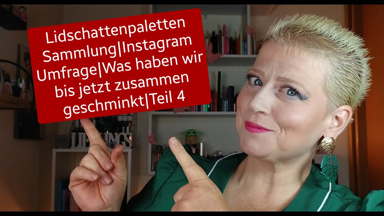 Lidschattenpalettensammlung/Instagram Umfrage/Was haben wir bis jetzt zusammen geschminkt?Teil 4