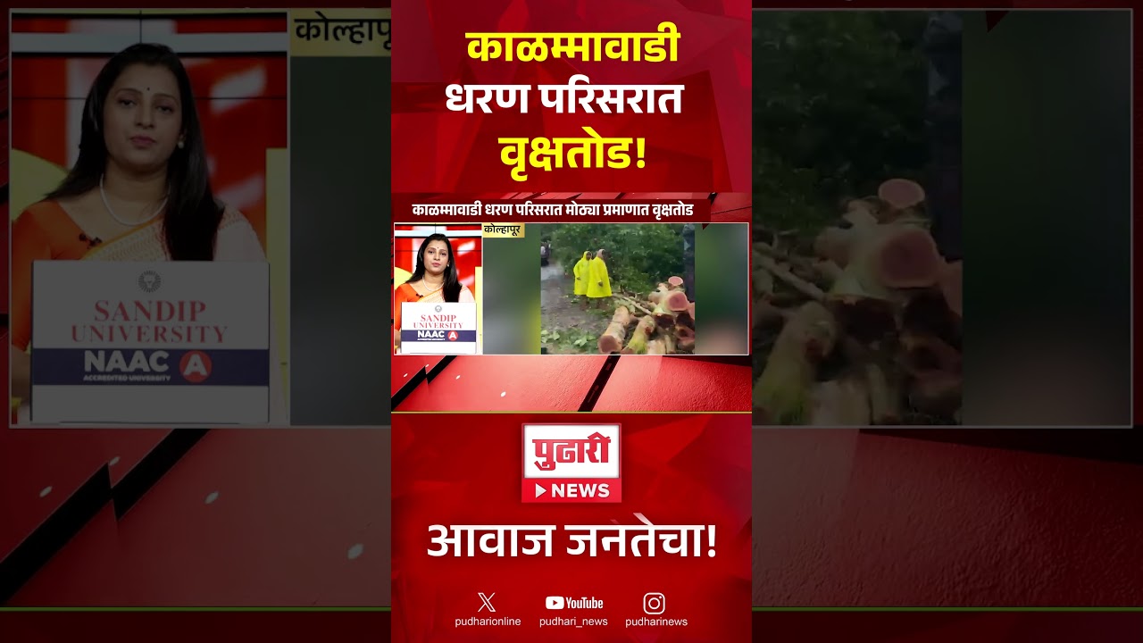 Kolhapur Tree Felling | कोल्हापूरच्या काळम्मावाडी धरण परिसरात मोठ्या प्रमाणात वृक्षतोड