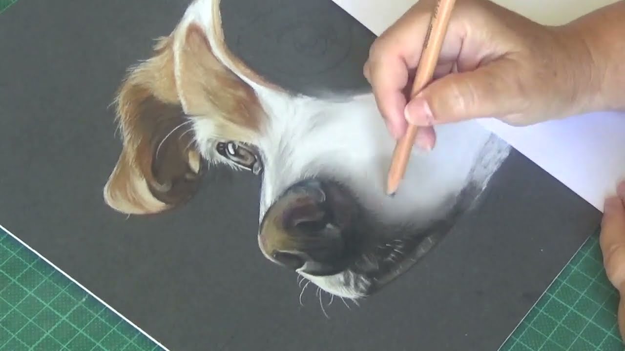 Pastel Portrait Drawing on Pastelmat | Commissioned Art for a Client