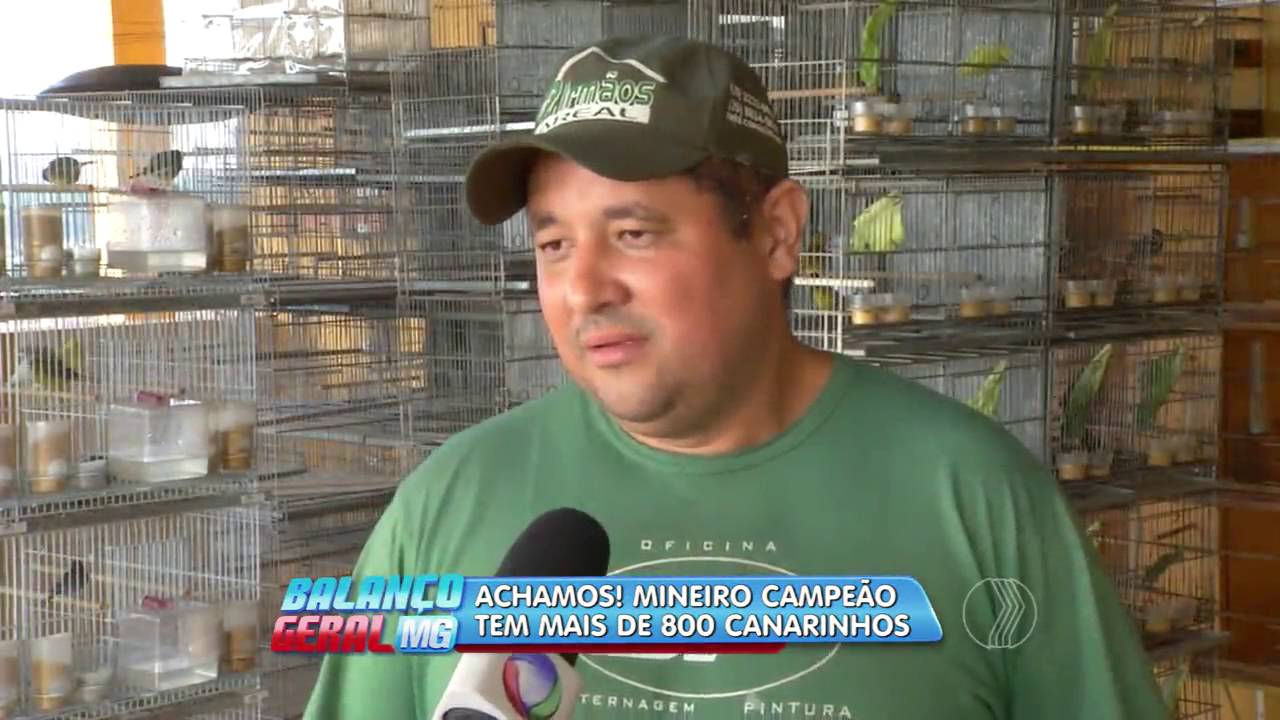BALANÇO GERAL -  Achamos! mineiro campeão tem mais de 800 canarinhos