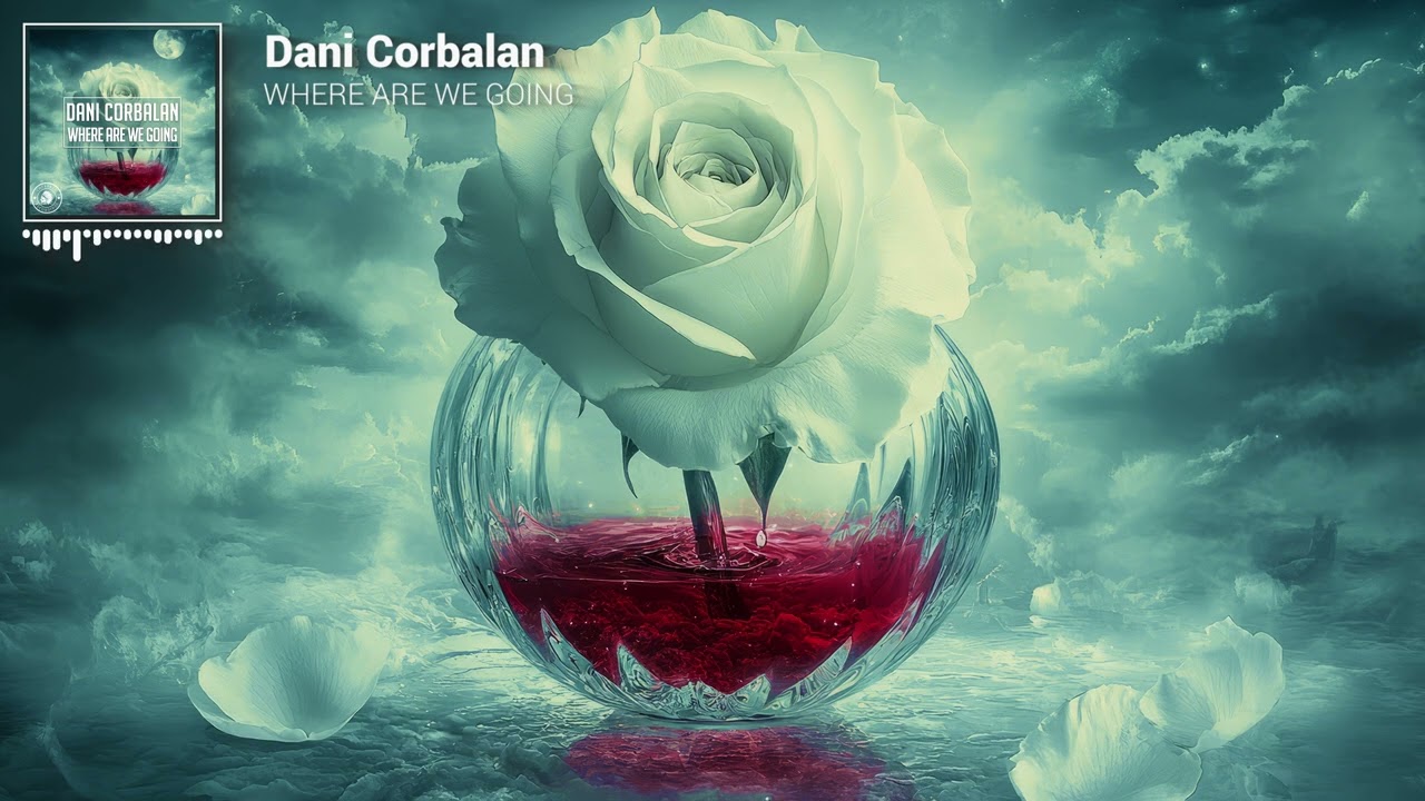 Dani Corbalan - Where Are We Going [Official Visualizer]