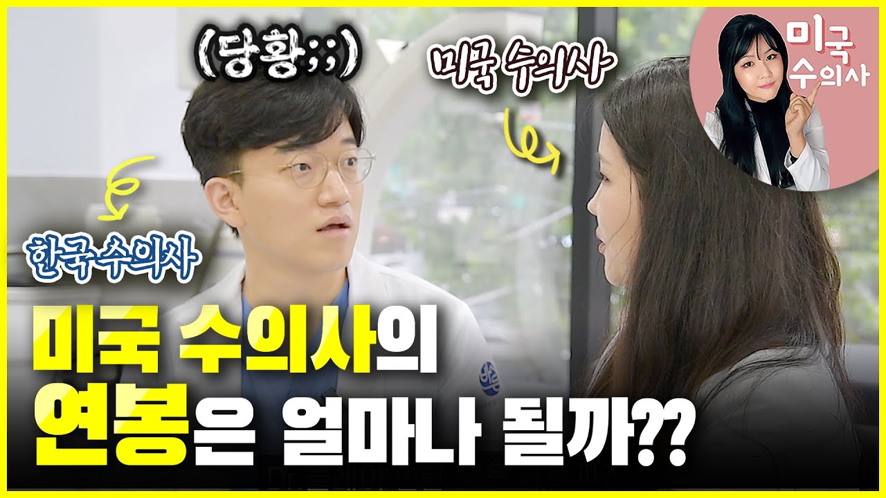 미국 수의사의 연봉은 얼마일까? | 벳터뷰 EP.04-2