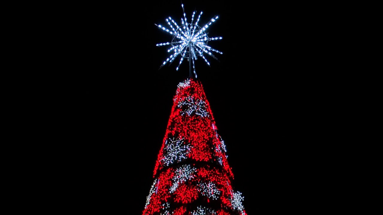 Thank You to All of Our Partners, Sponsors and Volunteers for Supporting the Tree of Lights!