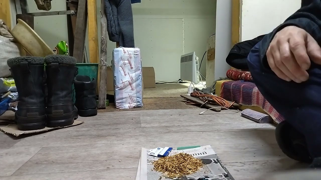 Махорка Clorotica.