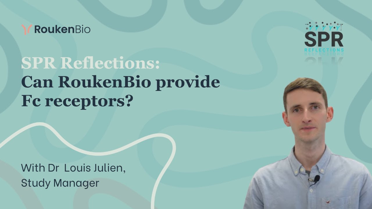 Can RoukenBio provide Fc receptors | SPR Reflections