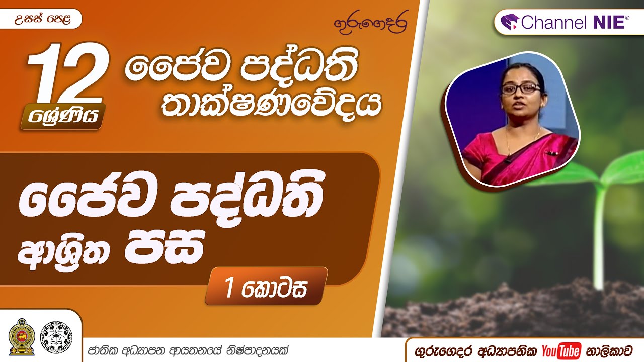 ජෛව පද්ධති ආශ්‍රිත  පස 01 - P 03 - A/L Bio Systems Technology (ජෛව පද්ධති තාක්ෂණවේදය) 12 ශ්‍රේණිය