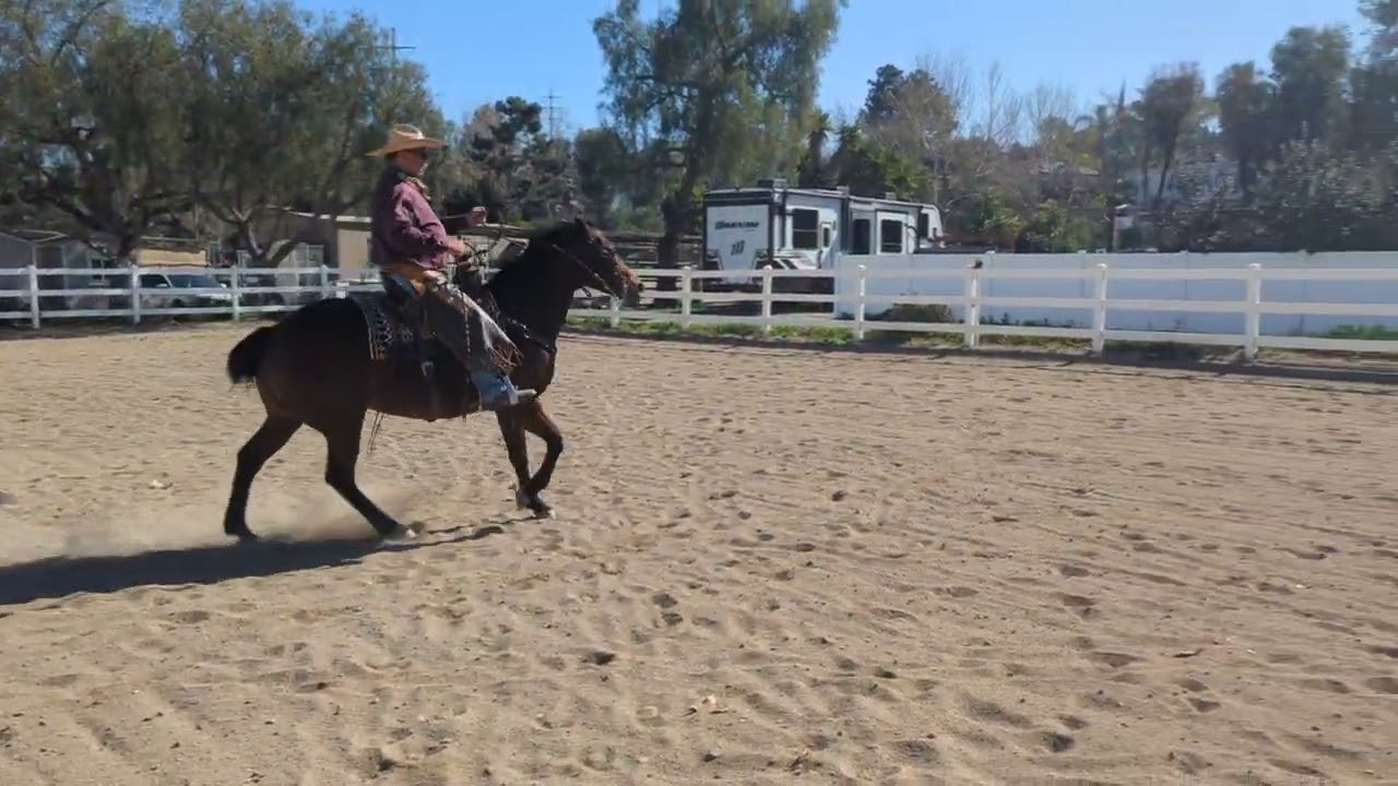 Ranch Riding , Pattern 1   Let's Get Ranchy 2/26