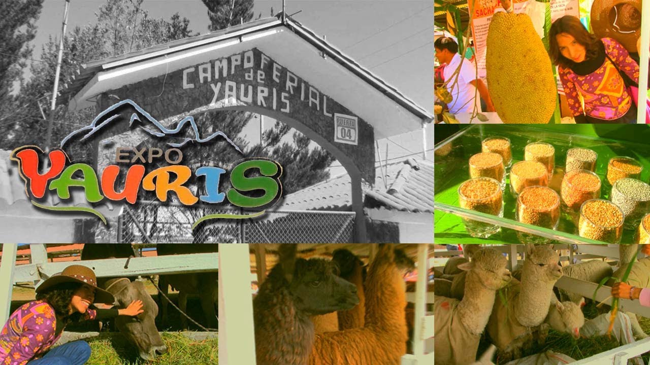 Feria🅰 de YAURIS 2020? 😱😱 | Huancayo | PERU 😷 Parte (1/2)