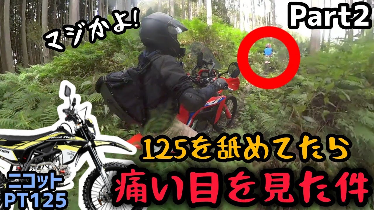 そんな激しい所までイケんの！？PT125と林道ツーリング！Part②