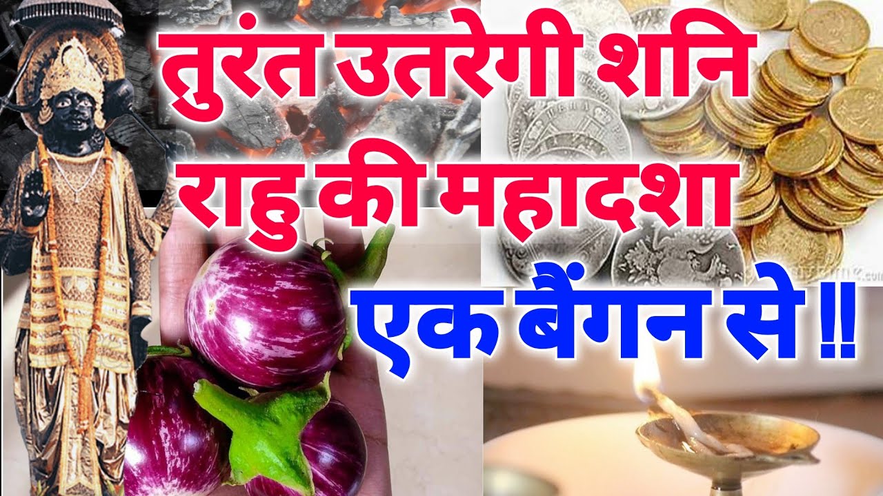 सिर्फ एक बैंगन तुरंत उतारेगी आपके जीवन से शनि और राहु केतु की महादशा- जानिये कैसे !!
