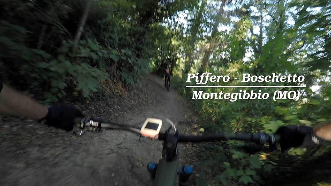 MTB Piffero e Boschetto -  Montegibbio (MO)