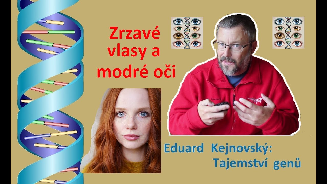 Genetický unikát - zrzavé vlasy a modré oči (Tajemství genů 121)