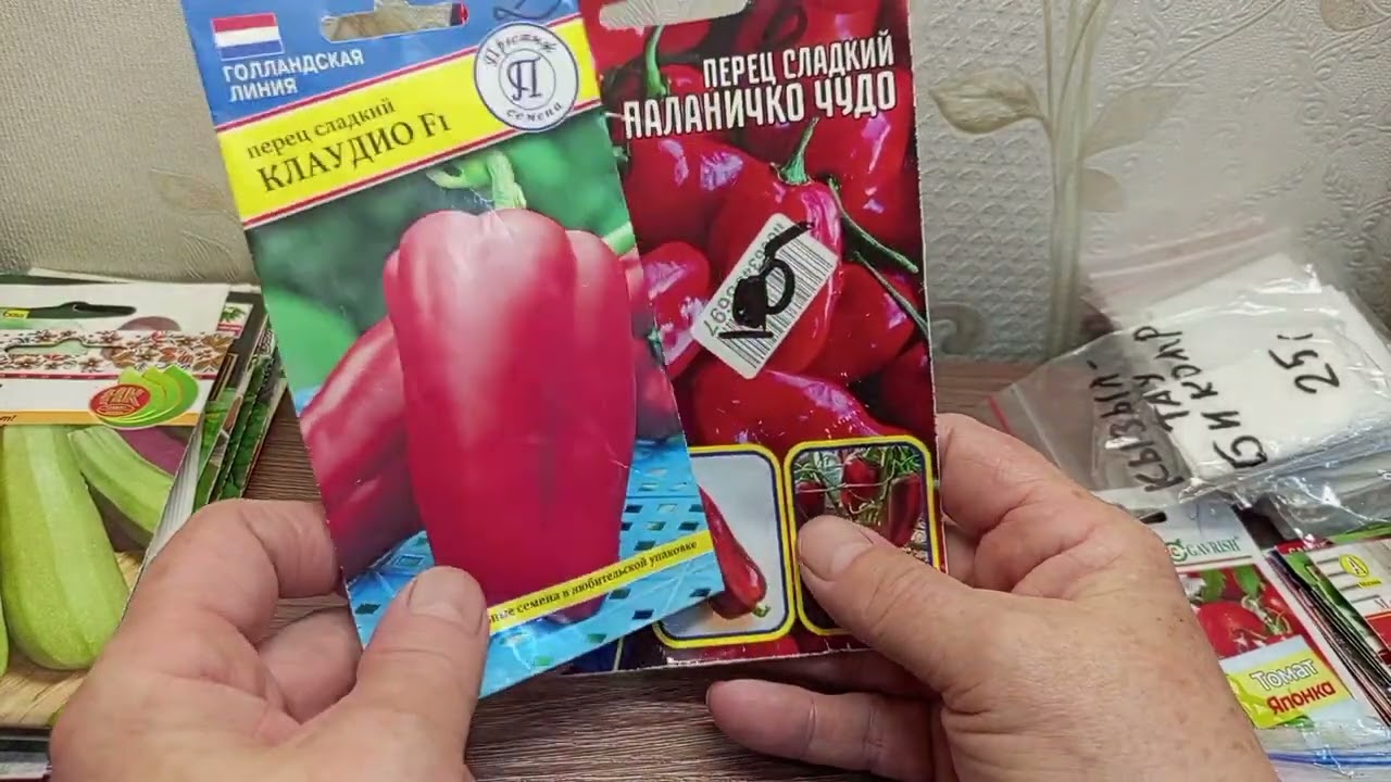 Ревизия остатков семян, что нужно докупить.