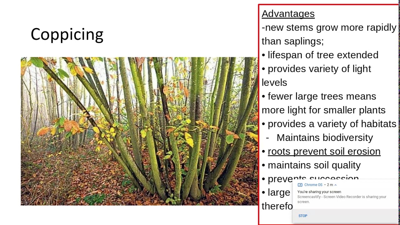 6.3.2 Populations and sustainabilty d) Sustainable use of timber and fishing