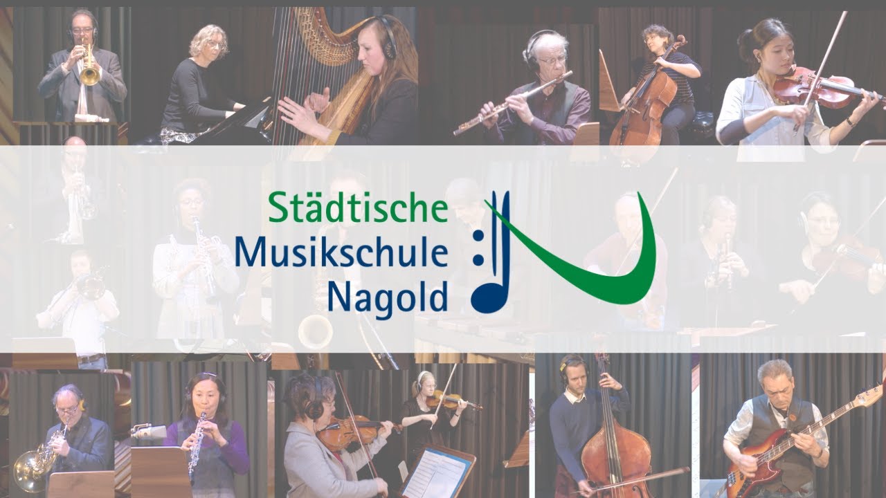 Städtische Musikschule Nagold: Unsere Instrumente