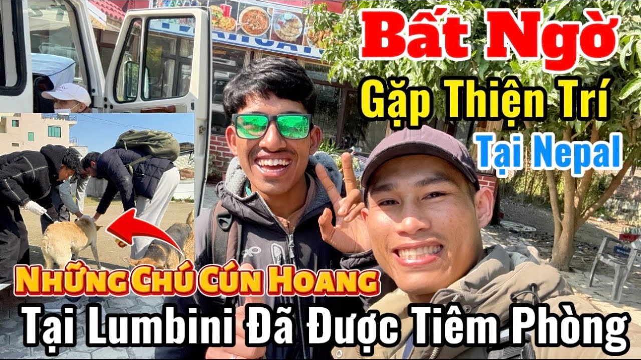 Bất Ngờ Gặp Thiện Trí Tại Nepal | Những Chú Cún Hoang Ở Lumbini Đã & Đang Được Tiêm Phòng #moinhat 