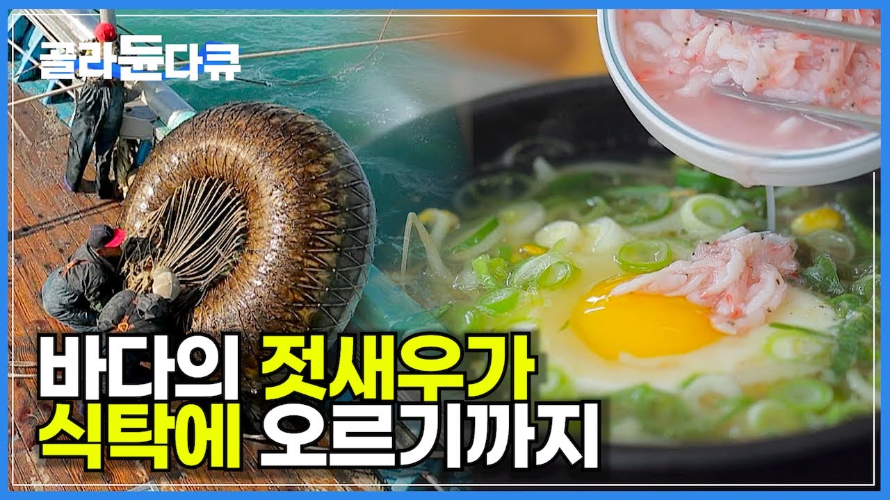 ‘연봉은 일시불로’ 배 한번 뜨면 밤낮 없이 수개월 바다 위 극한 새우잡이! 바다 사나이들의 출항에서 만선까지 파란만장 항해기│남해바다 젓새우잡이│바닷가 사람들│#골라듄다큐