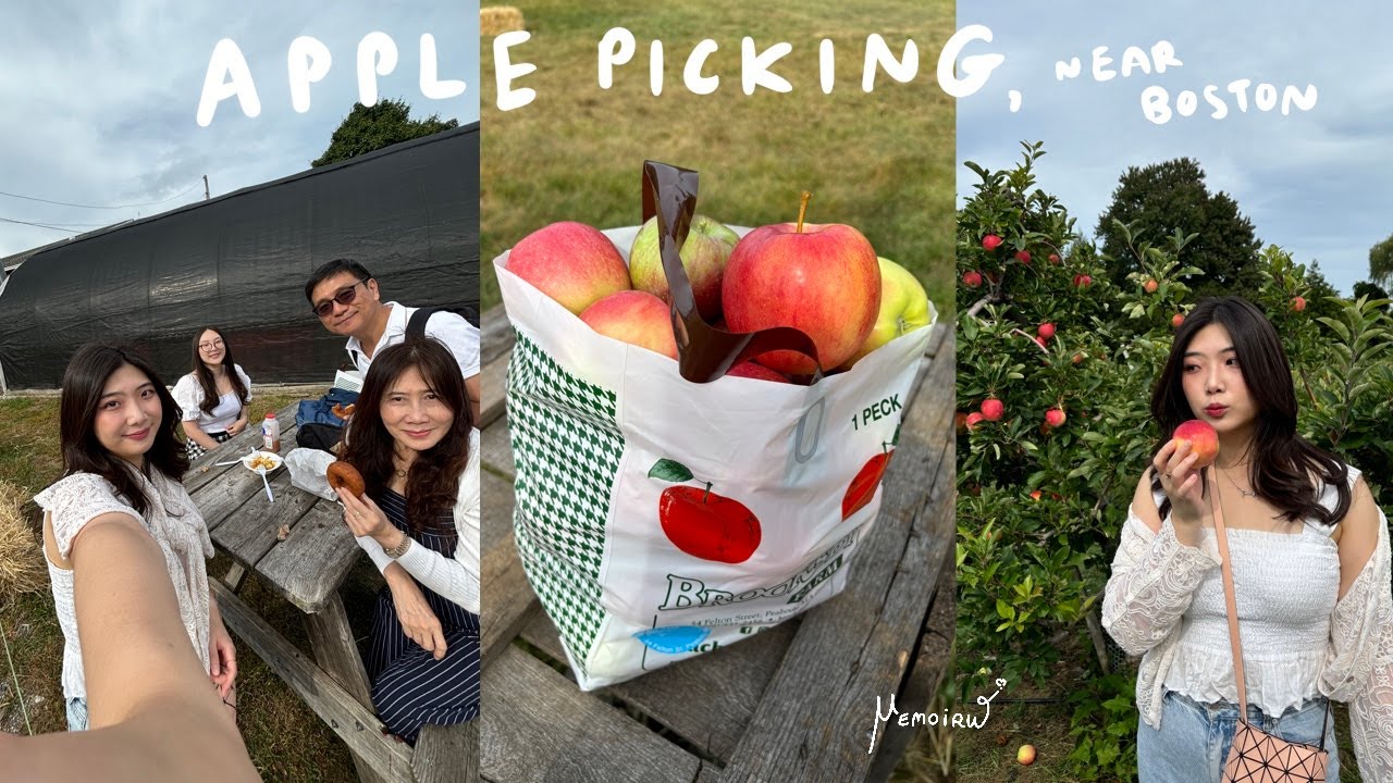 [vlog] Apple Picking | MemoirW [멤와더블유]