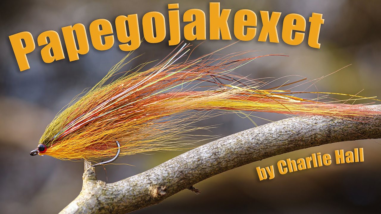 Papegojakexet &ndash; Charlie Hall