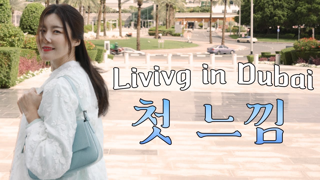 (SUB) 저 두바이로 국제이사했습니다! 두바이에 대해 새롭게 알게 된 몇 가지를 공유해요